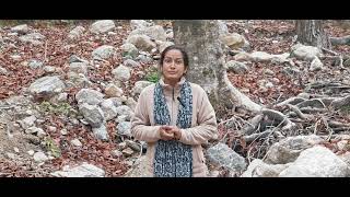 अब गर्मियों से पहले ही सूखने लगे हैं।#GlobalWarming #ClimateChangeIndia #LowSnowfall #Himalaya