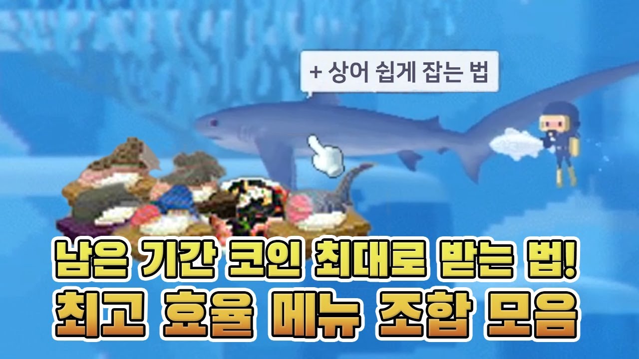 세더다 코인 최대 효율 메뉴 조합 / 상어 쉽게 잡는 법