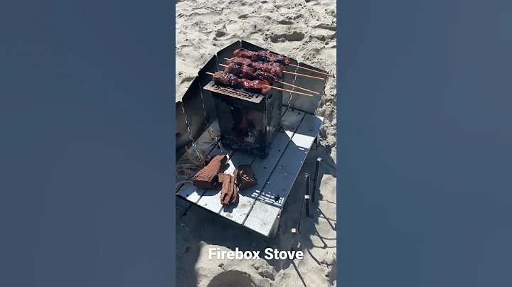 BBQ on Firebox Stove