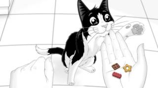 Clever Cats Pick Felix Treats Every Time