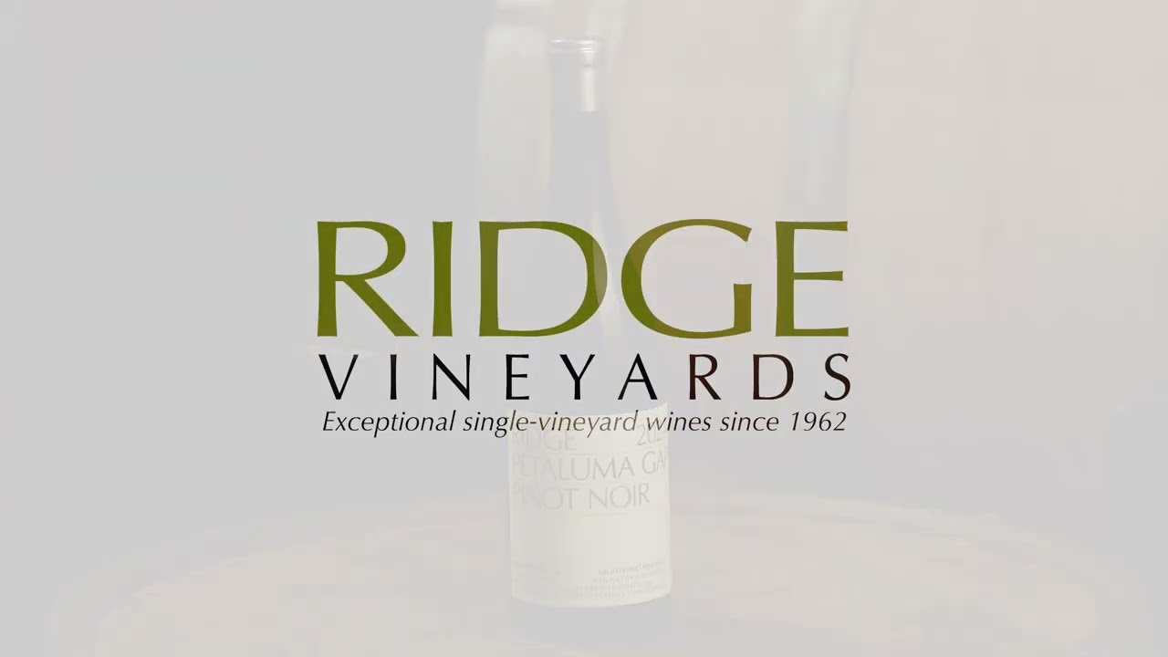 2024 PETALUMA GAP PINOT NOIR