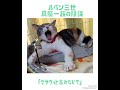 ルパン三世 風魔一族の陰謀 セラヴィと言わないで 歌ってみた ルパン三世 風魔一族の陰謀 セラヴィと言わないで 歌ってみた