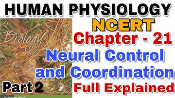 NCERT Ch-21 Neural Control and coordination Class XI Human Physiology Part 2 for Boards & NEET/AIIMS