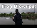 Topwater frog fishing action spring bass fishing a hidden texas swamp