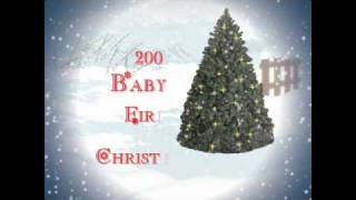 cameron's first christmas.avi