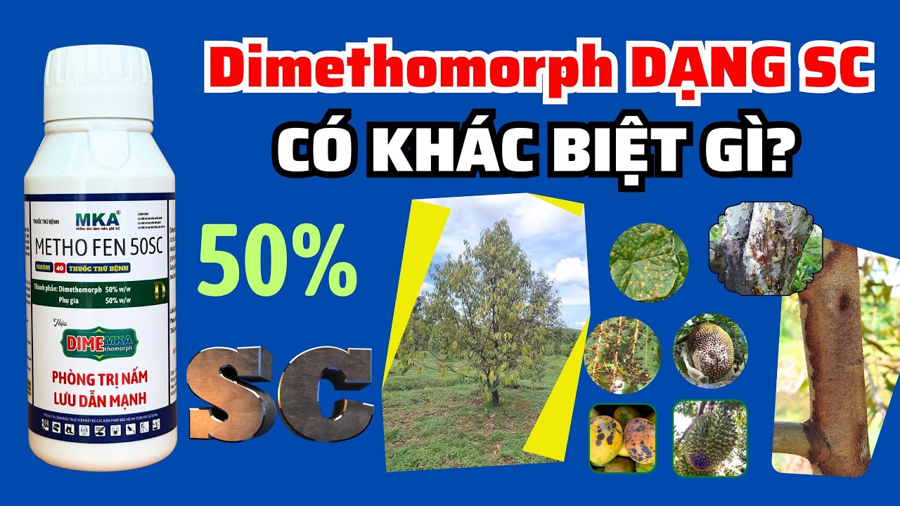 Dimethomorph dạng SC | Khác biệt thế nào so với các dạng thuốc khác? Giá thấp hay cao hơn?