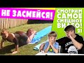 НЕ НЕЗАСМЕЙСЯ ЧЕЛЛЕНДЖ! Смотрим смешные видео и СМЕЁМСЯ! + Итоги розыгрыша | Мамина подборка #21