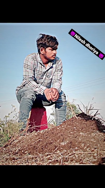 hits harynvi holi songs