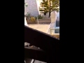 قطة بسبع ارواح