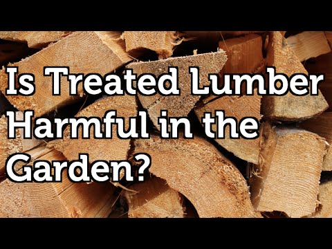 Is Pressure Treated Wood Harmful to use in the Garden?