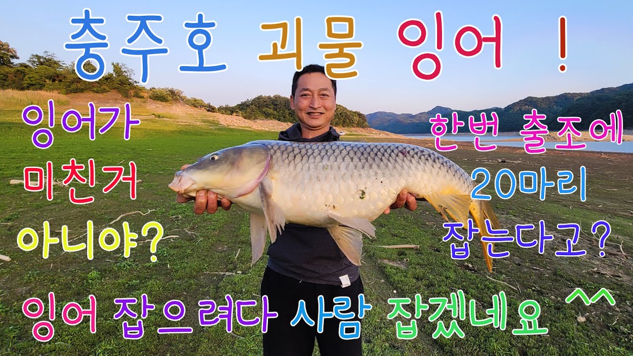 충주호 청풍호 대물 잉어 낚시 -  석자급 괴물 잉어가 단 하루에 세마리씩이나 , 한번 출조에 대물잉어 20마리 이상 ! Korea Monster Carp