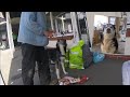 Husky helps a Busker and makes people Smile