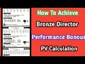 How to achieve bronze director level  pv calculation  performance bonus calculation in tamil