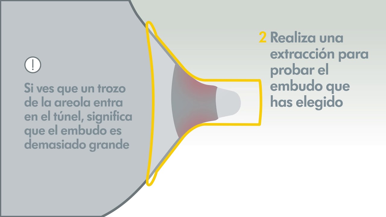 Qué debo saber de un sacaleches?