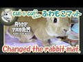 cui＊cuii さんのふわもこマット【 ウサギのだいだい 】　2020年2月3日