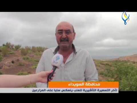 محافظة السويداء تأخر التسعيرة التأشيرية للعنب ينعكس سلبا على المزارعين