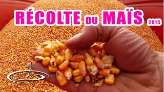 La récolte du maïs grain - 2015