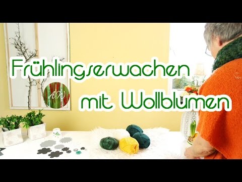 Video: Was ist eine Wollrosen-Sukkulente: Erfahren Sie mehr über die Pflanzenpflege von Echeveria 'Doris Taylor