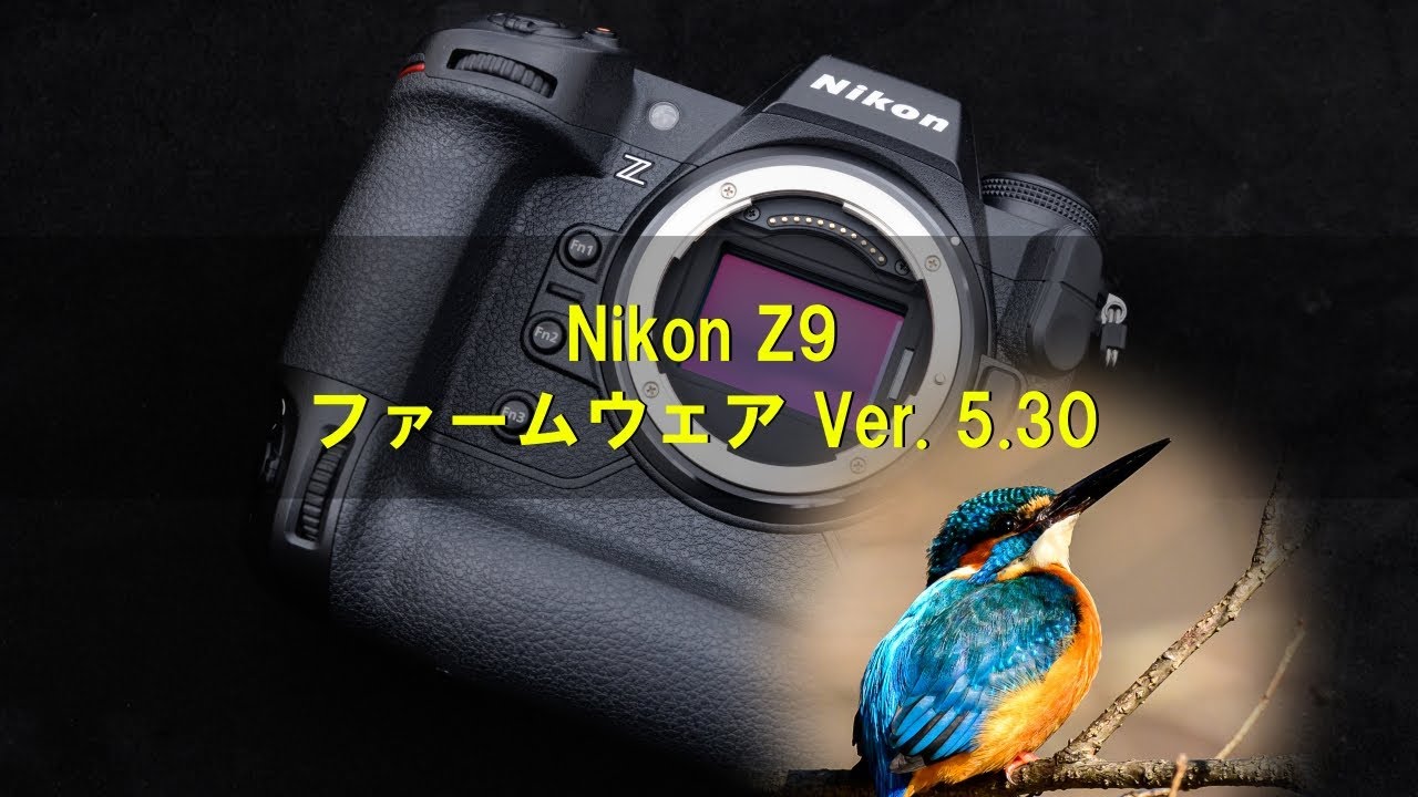 サラン 写真のPとVとZ どうも、天才です。 Z9 ＋NIKKOR Z 600mm f/4 TC VR S #raw_japan