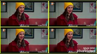 Kırgın Çiçekler Bu Sehirde