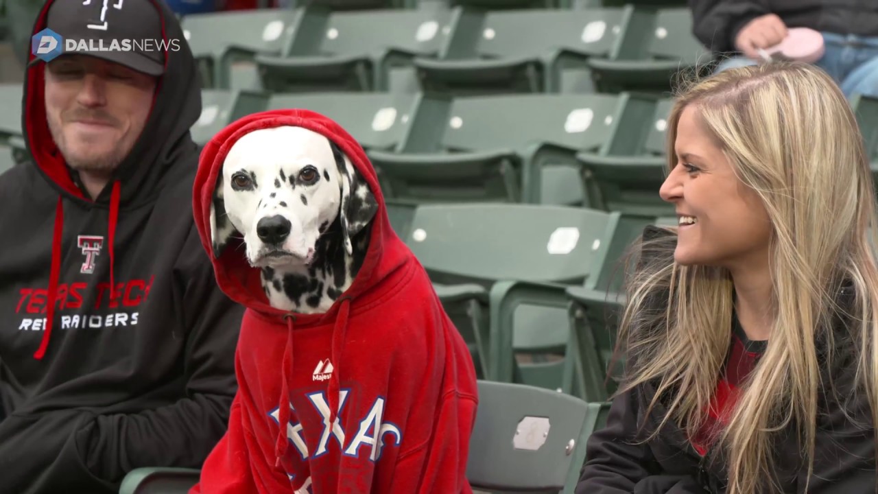 Texas Rangers host Bark in the Park YouTube