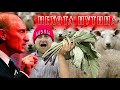 Кадыров и пехотинцы Путина. Кто они? За кого умирают кадыровцы в Украине?