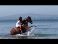 Riding Free Music Video 