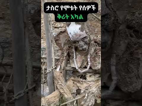 ታስሮ የሞቱት የሰዎች ቅሪት አካል Habesha Abelbirhanuየወይኗ Duet Ethiopiancinema Ethiopianfilm Facts