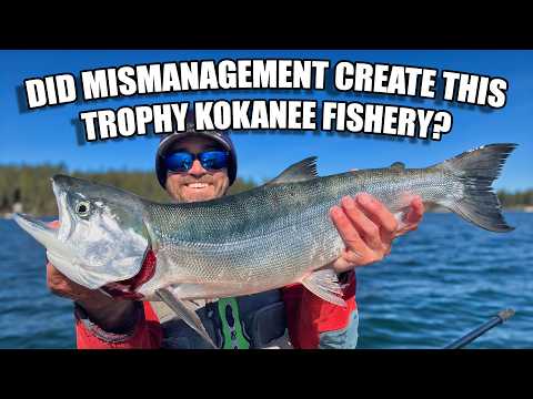 Did Mismanagement Create This Trophy Kokanee Fishery?