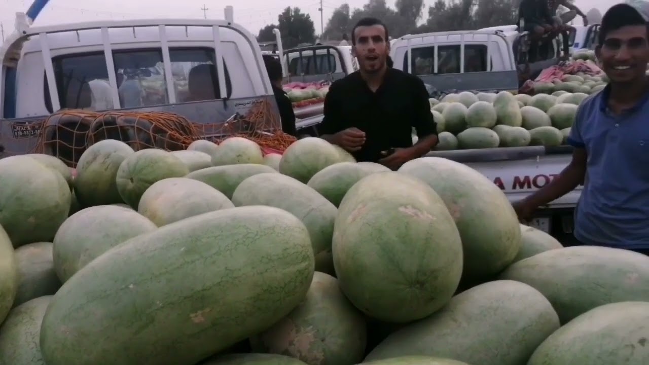 علوة ناحية شيخ سعد   اليوم. ٢١ ٩    ٢٠٢٢ #لاتنسى الاشتراك في القناة وتفعيل الجرس