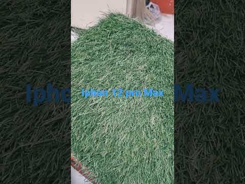 Iphon 12 pro Max