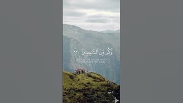 ولقد نعلم أنك يضيق صدرك بما يقولون / القارئ فارس عباد