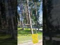 действующее городское кладбище в Hämeenlinna..25.04.2026