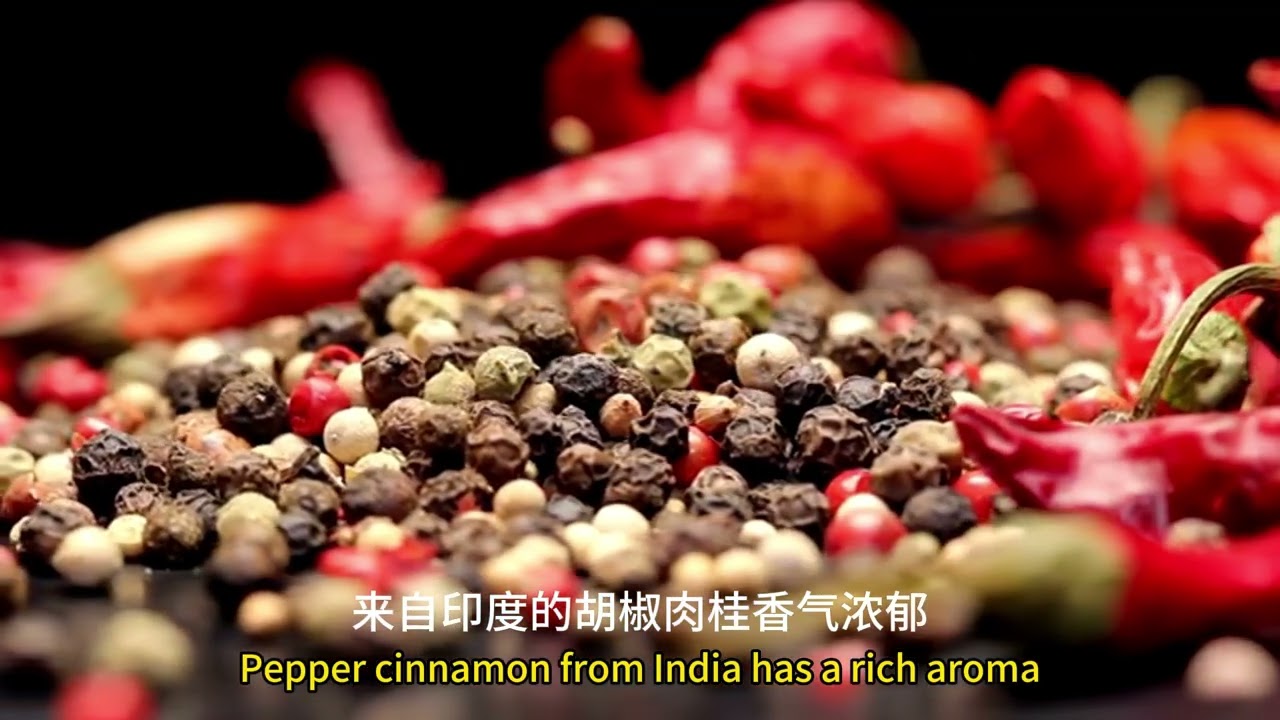 第一节 暴力循环的历史惯性：从征服到反噬