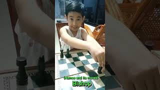 How to Play Chess for Beginners