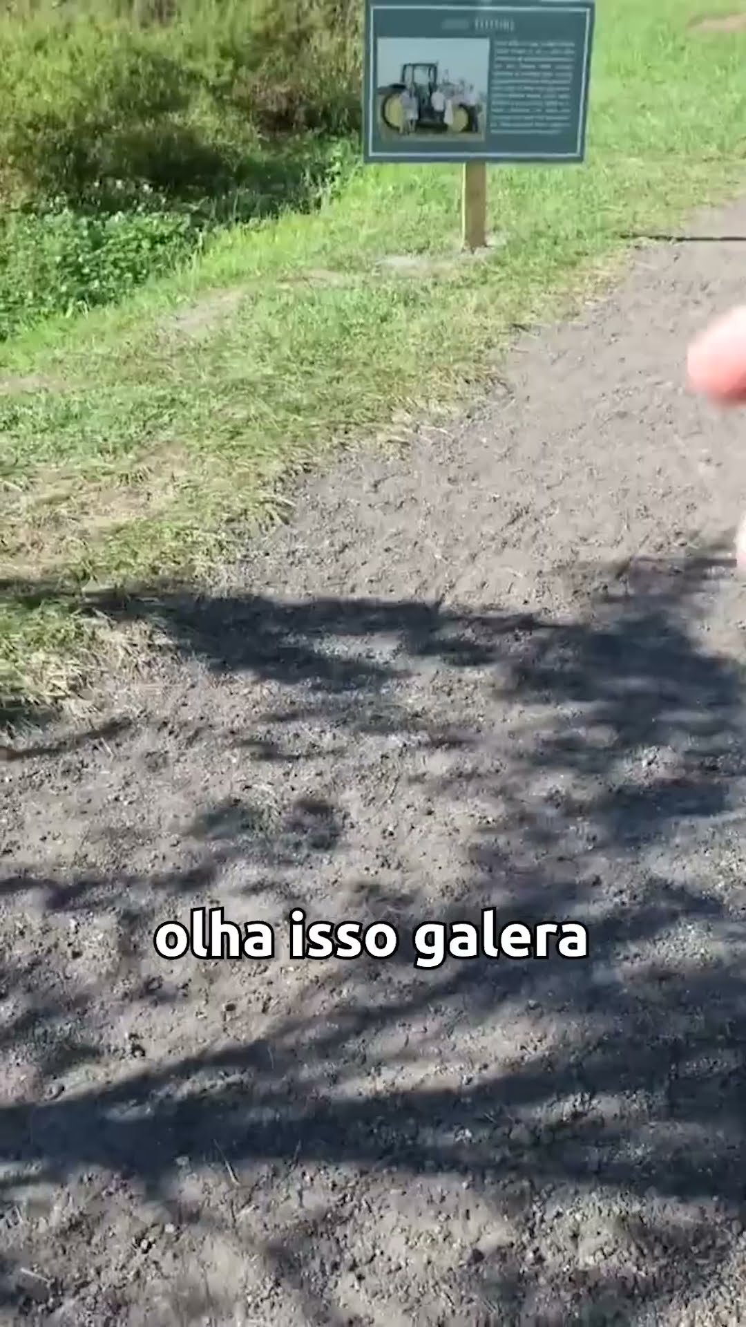 ENCONTRAMOS UM JACARÉ NA FAZENDA NOS EUA - Família Brancoala #Shorts