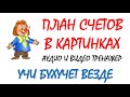 План счетов бухгалтерского учета как выучить | Введение в бухучет для начинающих | Бухгалтерия