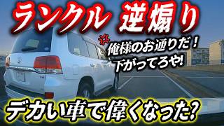 【閲覧注意】ヴェルファイア→高速で2台並んで逆走！／渋滞に痺れを切らし逆走する高齢者→周囲パニック／クラクションに逆ギレ急ブレーキのランクル／