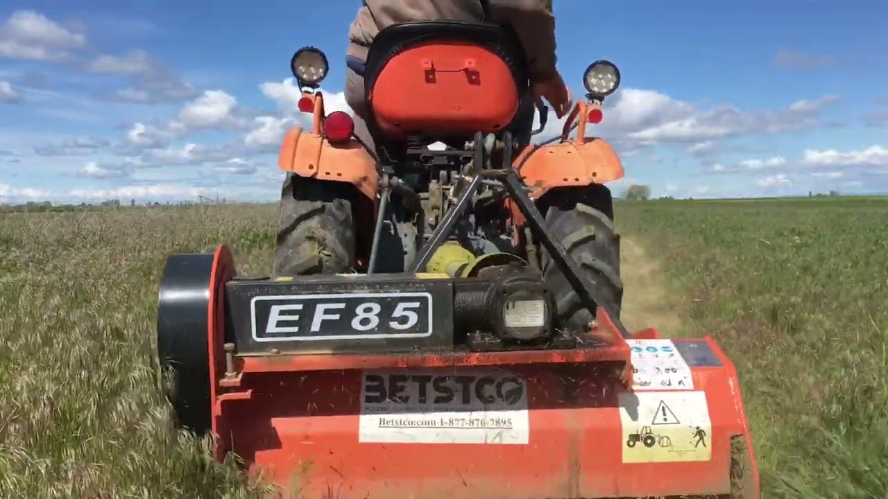Betstco EF 85 Flail Mower Mowing SERIOUS Grass