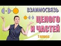 Целое и части. Математика 1 класс.