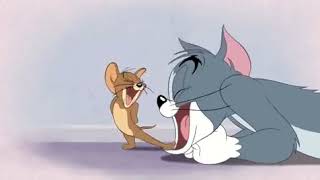 Мульт Tom and Jerry Tales S02 Ep06 Which Witch Screen 01