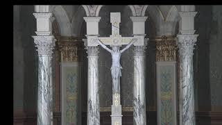 Sixteenth Sunday in Ordinary Time 7/19/26 8:30 a.m.
