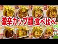 【レビュー】激辛カップ麺8品を食べ比べ!辛辛魚より辛いのが三個も!?【ずんだもん解説】