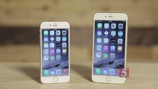 Consumer Reports Examine New iPhone 6