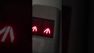 Otis elevator chime (up)