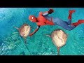 GTA 5 Spiderman water ragdolls ep.3 [Funny Moments]