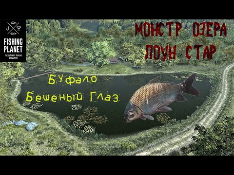 Ловлю планет. Буффало бешеный глаз Fishing Planet. Фишинг планет монстр Буффало бешеный глаз. Рыбы монстры Fishing Planet. Fishing Planet пойманная рыба Буффало.