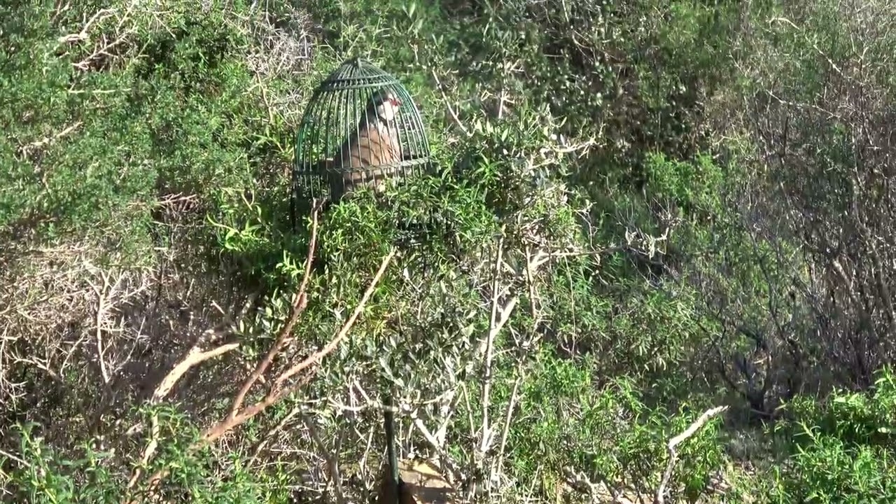 BERNADET  UNA TARDE CON FINAL INESPERADO