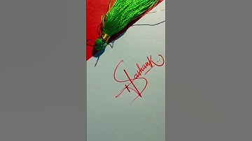 shashank name calligraphy#signature #signaturedesigner #calligraphy #cursive #shorts ❤️❤️