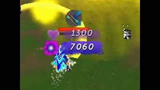A Day in the Life of a PVMer